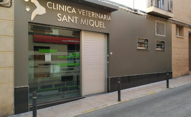 Veterinario Clínica Veterinaria Sant Miquel Xátiva