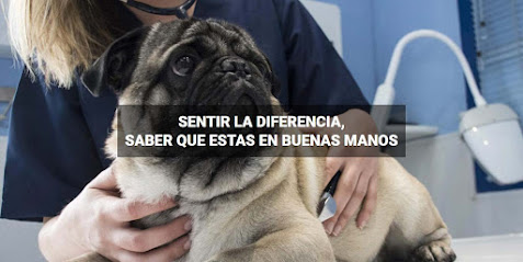 Clínica Veterinaria Sanus 1 Veterinario Clínica Veterinaria Sanus