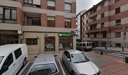 Clínica Veterinaria Sestao 1 Veterinario Clínica Veterinaria Sestao
