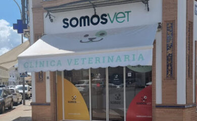 Veterinarios en Alcalá de Guadaíra 5 Veterinario Clínica Veterinaria SomosVet Alcalá de Guadaíra