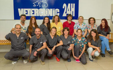 Veterinario Clínica Veterinaria Son Servera