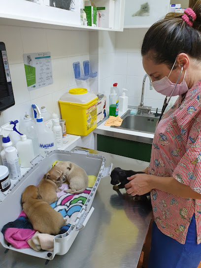 Clinica Veterinaria Sonia Galán 1 Veterinario Clinica Veterinaria Sonia Galán