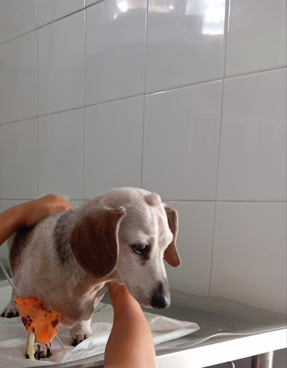 Clínica Veterinaria Taraguilla 1 Veterinario Clínica Veterinaria Taraguilla