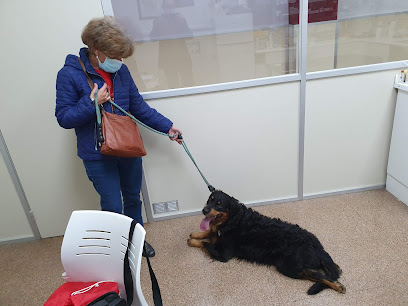 Clínica Veterinària Tecnos 1 Veterinario Clínica Veterinària Tecnos