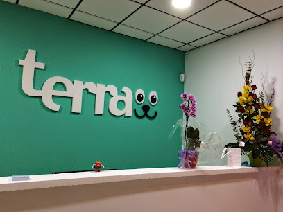 Clinica Veterinaria Terra (Catarroja) 1 Veterinario Clinica Veterinaria Terra (Catarroja)