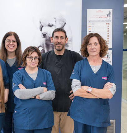 Clínica Veterinària Tordera 1 Veterinario Clínica Veterinària Tordera
