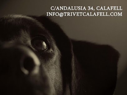 Veterinario Clínica Veterinària Trivet Calafell