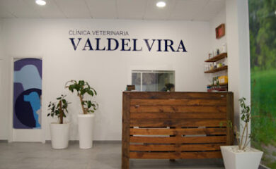 Veterinario Clínica Veterinaria Valdelvira