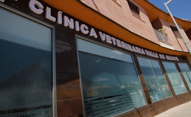 Veterinarios en Archena 1 Veterinario Clínica Veterinaria Valle De Ricote
