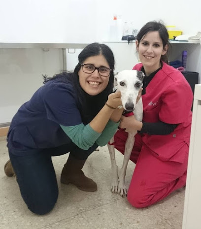 Clínica Veterinària Vallivet 1 Veterinario Clínica Veterinària Vallivet