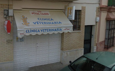 Veterinarios en Utrera 4 Veterinario Clínica Veterinaria Vázquez Ferrete