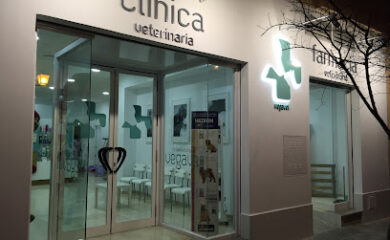Veterinario Clínica Veterinaria Vegavet
