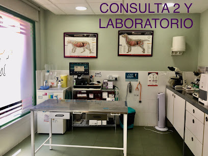Clínica Veterinaria Velilla de San Antonio 1 Veterinario Clínica Veterinaria Velilla de San Antonio