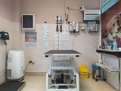Veterinario Clínica Veterinaria Versalles