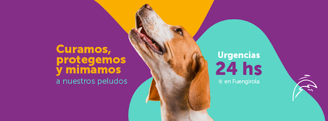 Clínica Veterinaria Vetsur 1 Veterinario Clínica Veterinaria Vetsur