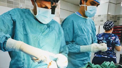 Veterinario Clínica Veterinaria Vivero