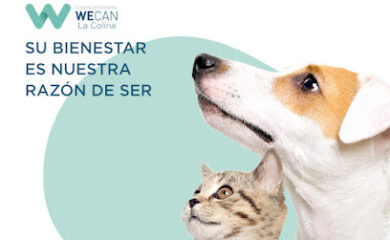 Veterinario Clínica Veterinaria WECAN La Colina