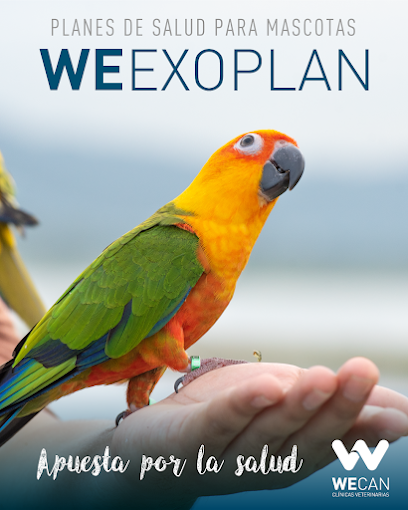 Clinica Veterinaria Wecan Cosmopet 1 Veterinario Clinica Veterinaria Wecan Cosmopet