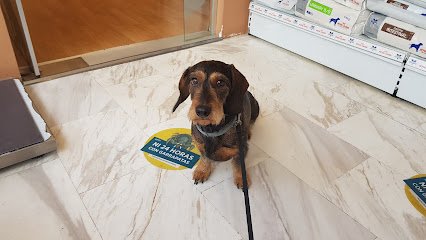 Veterinario Clínica Veterinaria Zarpas y Bigotes