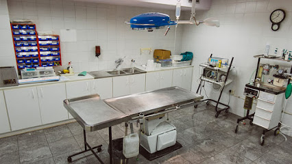 Clínica Veterinaria del Bages 1 Veterinario Clínica Veterinaria del Bages