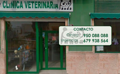 Veterinario Clínica Veterinaria en Almeria | Panda Veterinario