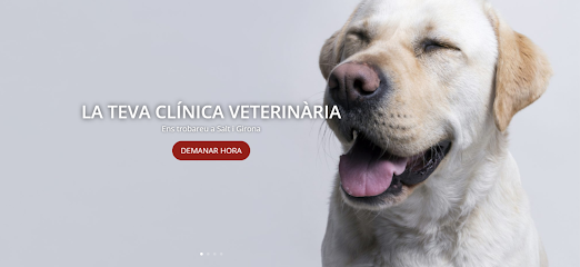 Veterinario Clínica veterinària Animàlia