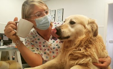 Veterinario Clínica veterinaria José Angosto