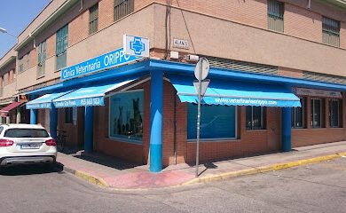 Veterinario Clinica veterinaria Orippo