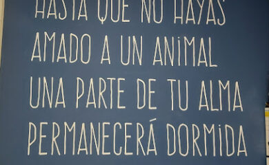 Veterinario Clinica veterinaria Sam