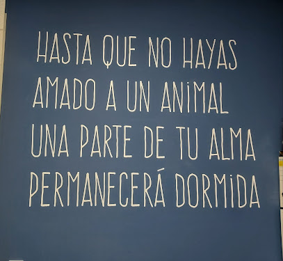 Clinica veterinaria Sam 1 Veterinario Clinica veterinaria Sam