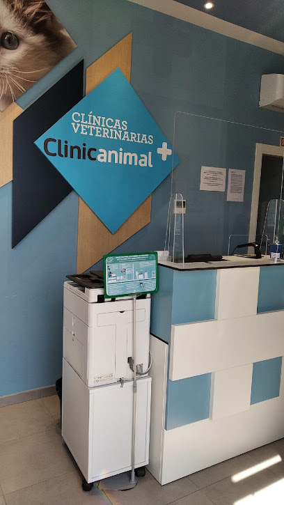 Clinicanimal 1 Veterinario Clinicanimal