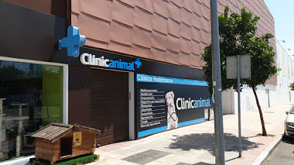 Clinicanimal 1 Veterinario Clinicanimal