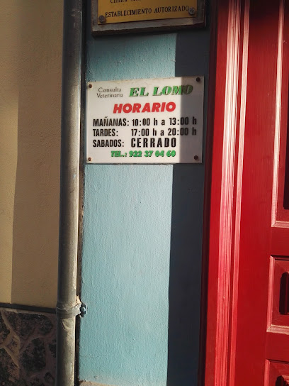 Consulta Veterinaria El Lomo 1 Veterinario Consulta Veterinaria El Lomo