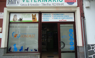 Veterinario Consulta Veterinaria Guia de Isora