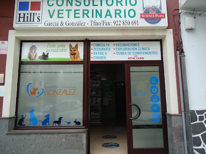 Consulta Veterinaria Guia de Isora 1 Veterinario Consulta Veterinaria Guia de Isora