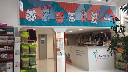 Consulta Veterinaria La Palmera 1 Veterinario Consulta Veterinaria La Palmera