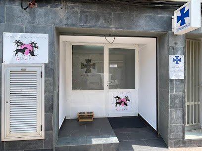 Consulta Veterinaria Menorca 1 Veterinario Consulta Veterinaria Menorca