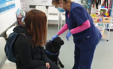 Veterinario Consultori Veterinari El Mussol