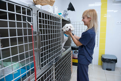 Dingo Clínica Veterinaria Tenerife sur 1 Veterinario Dingo Clínica Veterinaria Tenerife sur