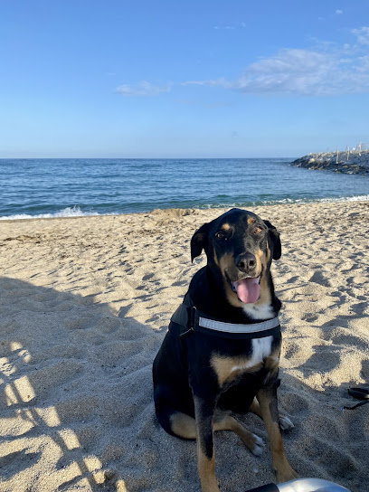 Doc´s 1 Veterinario Doc´s