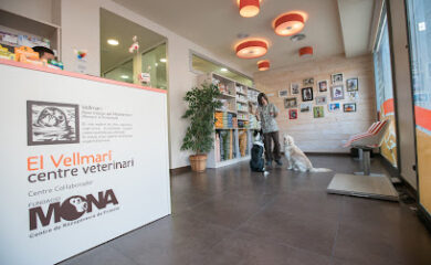 Veterinario El Vellmarí