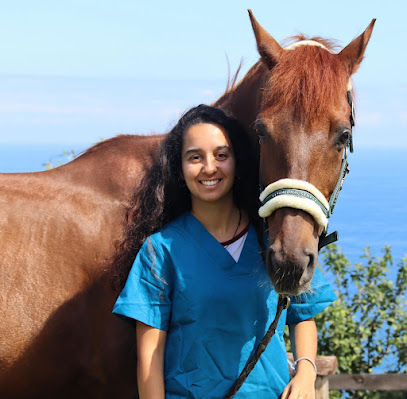 Enara Lucas Parra 1 Veterinario Enara Lucas Parra