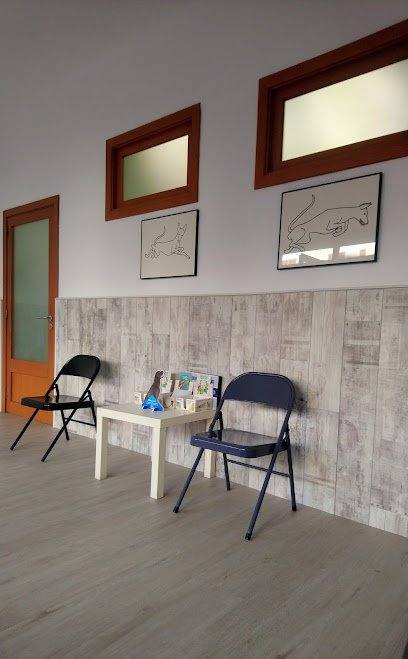 Veterinario Es Raiguer