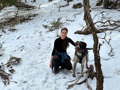 Veterinario Etohana Veterinaria. Medicina del comportamiento animal