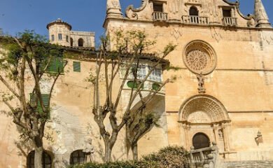 Veterinario Felanitx