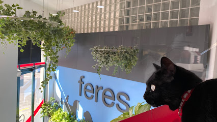 Feres Hospital Veterinari 1 Veterinario Feres Hospital Veterinari