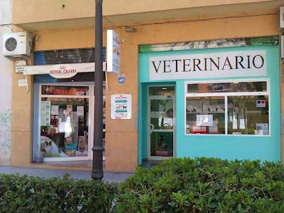Guaus Y Miaus 1 Veterinario Guaus Y Miaus