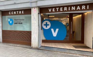 Veterinario HVC Sant Feliu