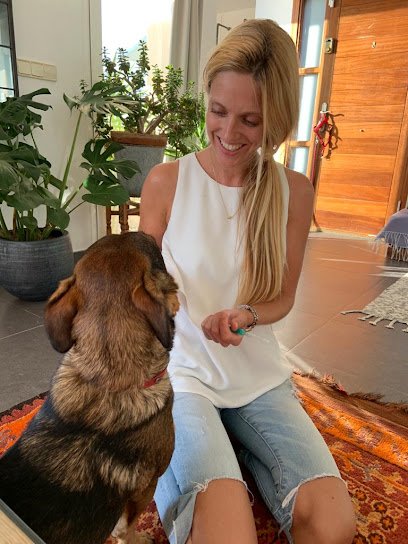 Veterinario HomeVet Ibiza