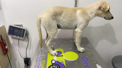 Hospital Veteralia Movet… 1 Veterinario Hospital Veteralia Movet…